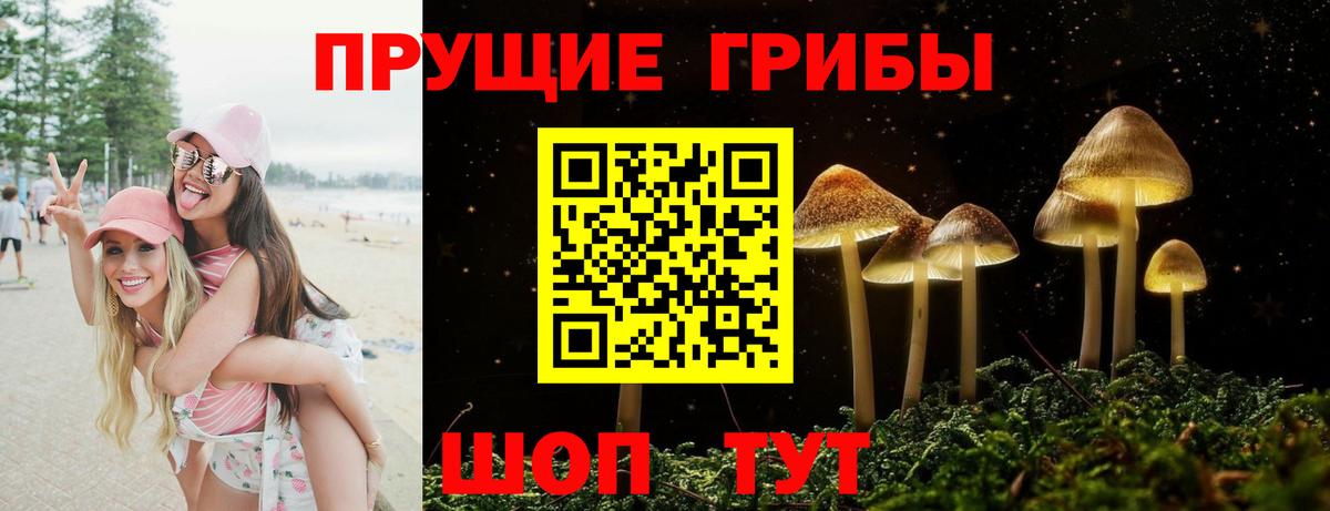 Галлюциногенные грибы Psilocybe  купить закладку  Зеленокумск  Вход с VPN  Галлюциногенные грибы мицелий 
